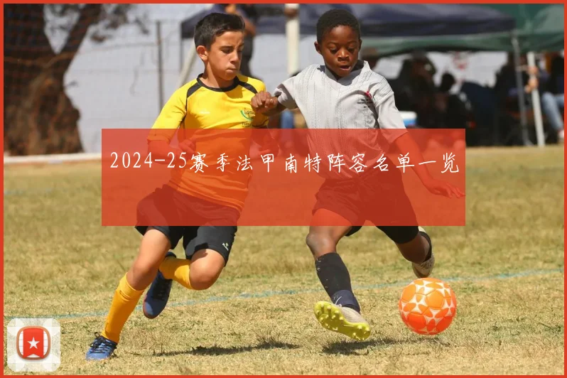 2024-25赛季法甲南特阵容名单一览