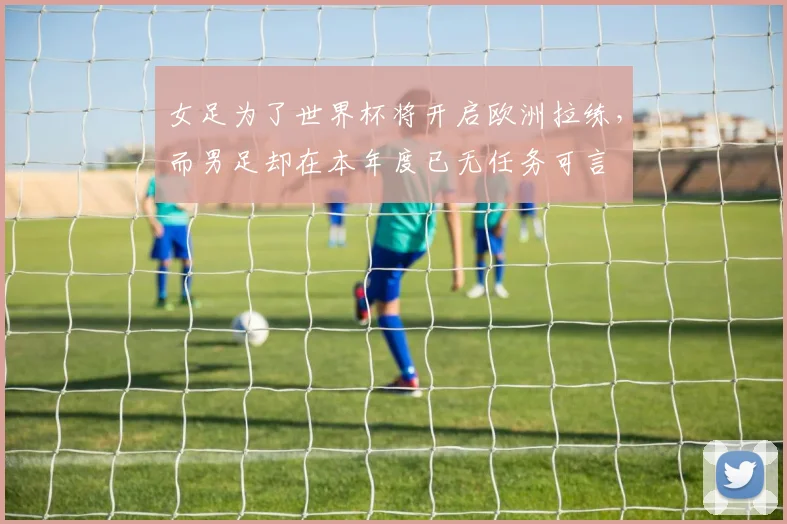 女足为了世界杯将开启欧洲拉练，而男足却在本年度已无任务可言
