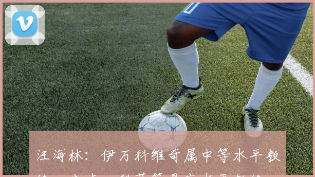 汪海林：伊万科维奇属中等水平教练，米卢、科萨等是高水平教练